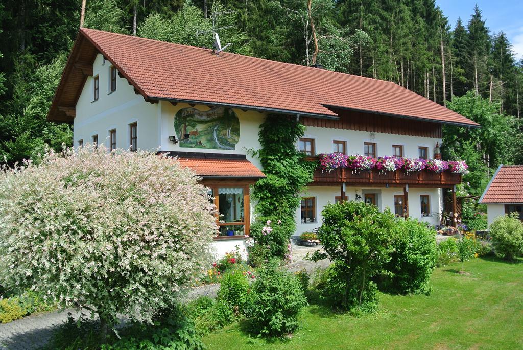 Haus Am Waldrand - Ferienwohnung Augustin Grafenau  Exterior photo